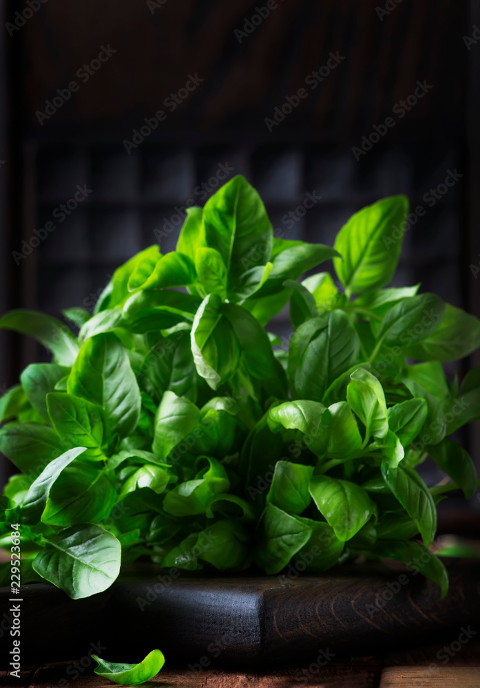 Fresh green basil, spice herb, selective focus Fresh green basil, spice herb, selective focus
