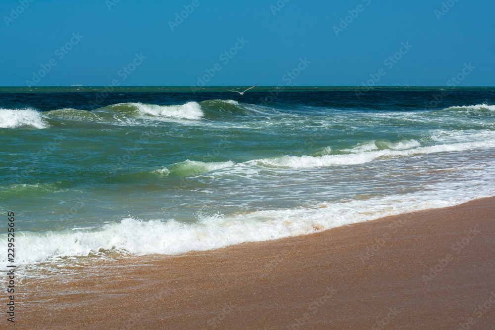 Blue ocean with waves and one seagull under the blue sky