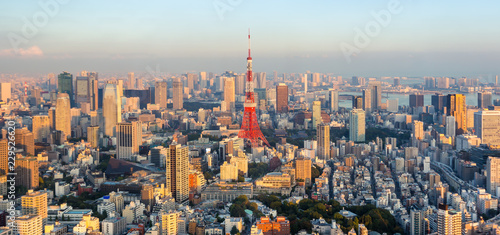 Tokyo city skyline at sunset , Japan photo