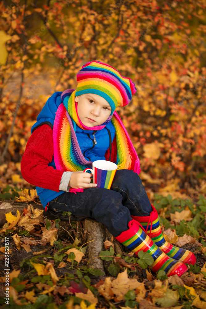 Child in autumn park. Happy adorable boy with fall leaves. The concept of childhood, family and kid laughs outdoors.
Child in autumn park. Happy adorable boy with fall leaves. The concept of childhood, family and kid laughs outdoors.