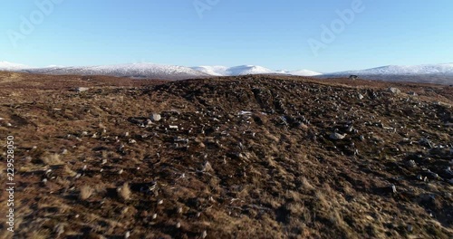 Flying above tree stumps in the Scottish highlands.