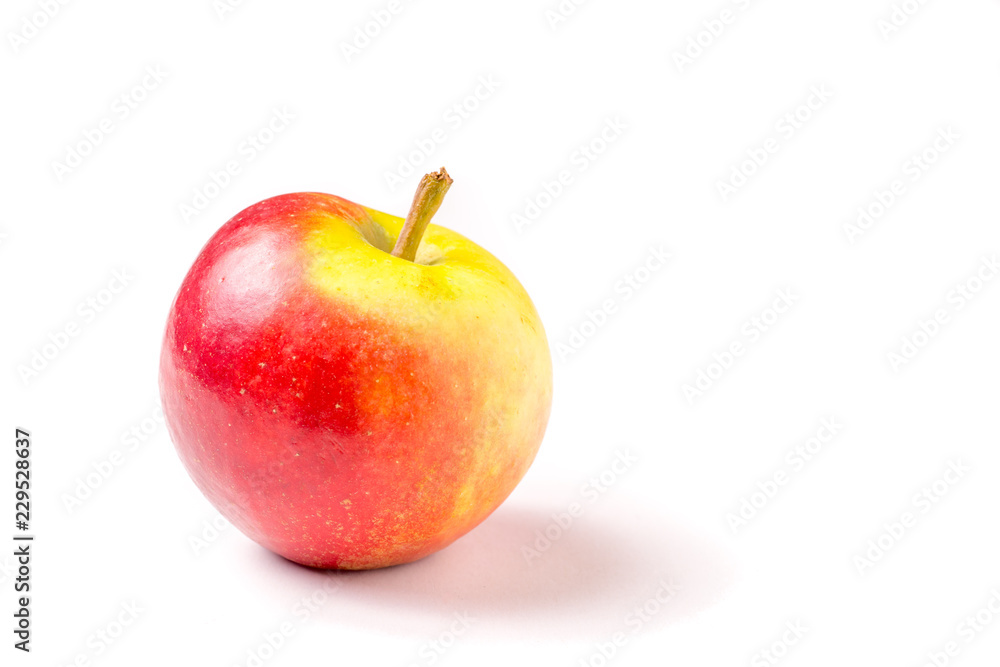 one red and green organic delicious apple one red and green organic delicious apple