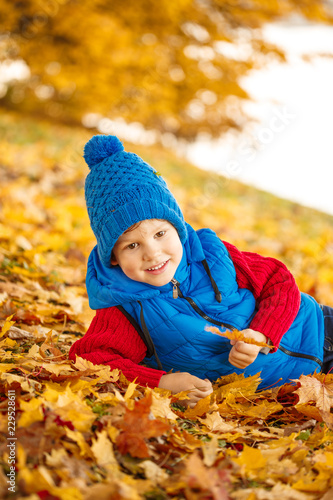 Child in autumn park. Happy adorable boy with fall leaves. The concept of childhood  family and kid laughs outdoors.   