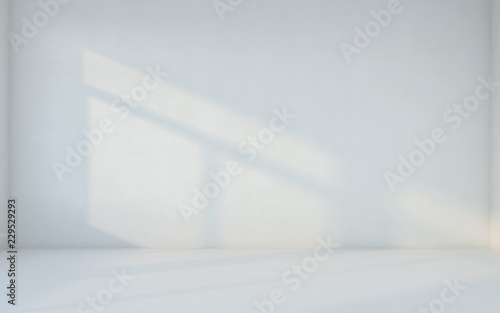 Fototapeta Naklejka Na Ścianę i Meble -  Abstract white room. Blank room with wall. 3d rendering