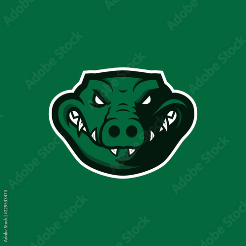 Crocodile head mascot