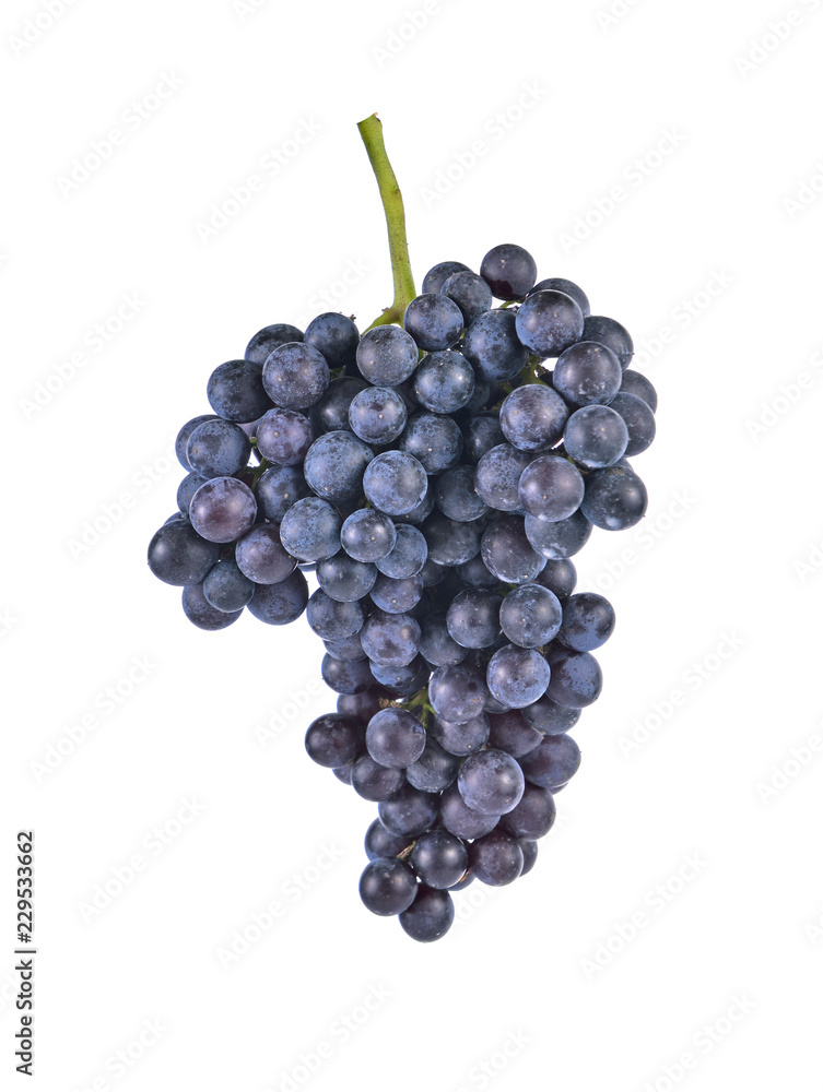 purple grapes Isolated on white background purple grapes Isolated on white background