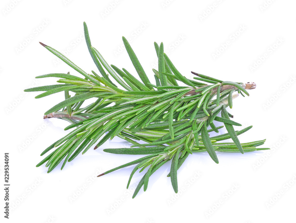 Fototapeta premium Rozmaryn na białym tle