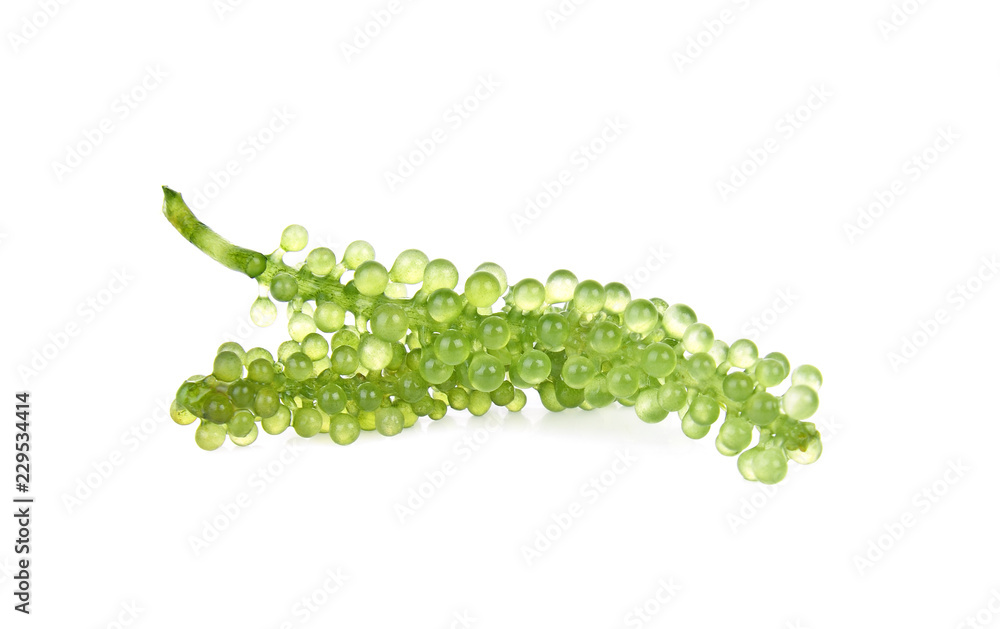 Naklejka premium Sea grapes ( green caviar ) seaweed on white backgroun
