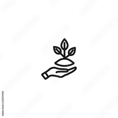 line plant icon. symbol of ecology