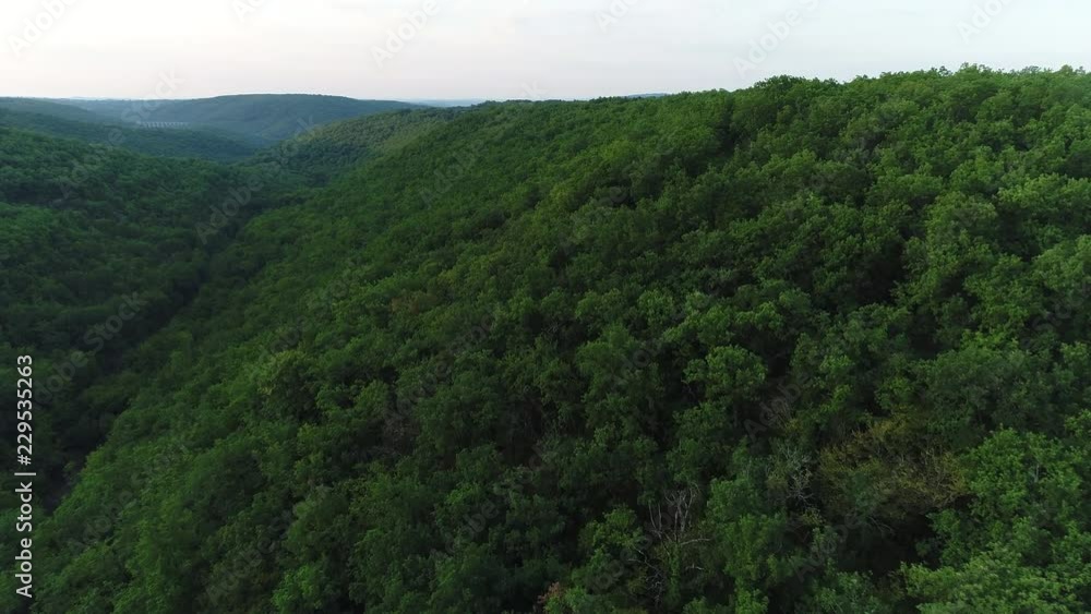 Drone flight over a forest on hills. Day time France Drone flight over a forest on hills. Day time France