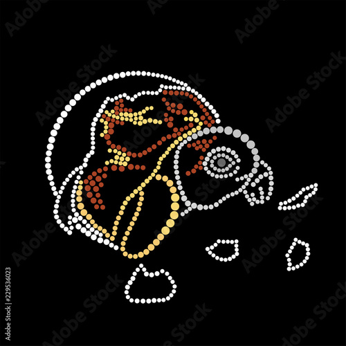 Turtle hatched from an egg