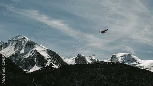 Beautiful mountains with an eagle flying. 