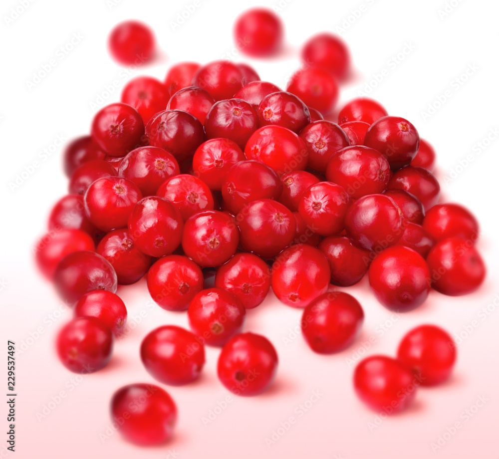 CRANBERRIES CRANBERRIES