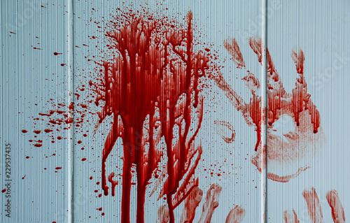 Blood stains with palm prin...
