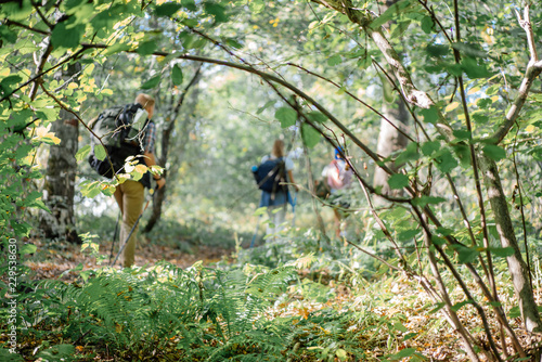 Group of friends having a walk with nordic sticks on hike in the forest