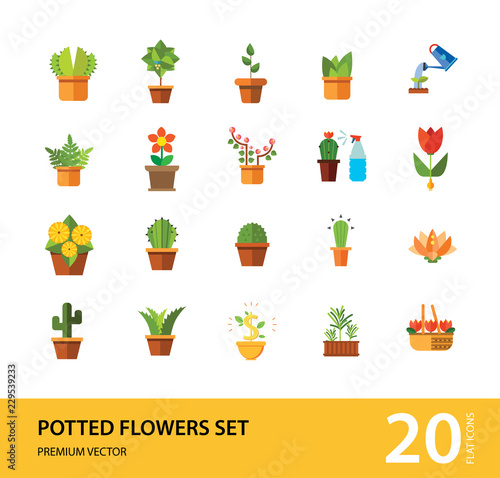 Potted Flowers Icon Set. Money Tree Cactus In Pot Cactus And Spray Bottle Plant Blooming Flower Chinese Peach Tree Cactus Red Flower Cactus In Flower Pot Tree In Pot Aloe Vera