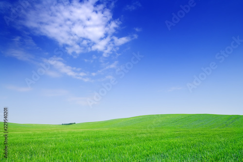 Idyll, view of green fields and blue sky with white clouds © Trutta