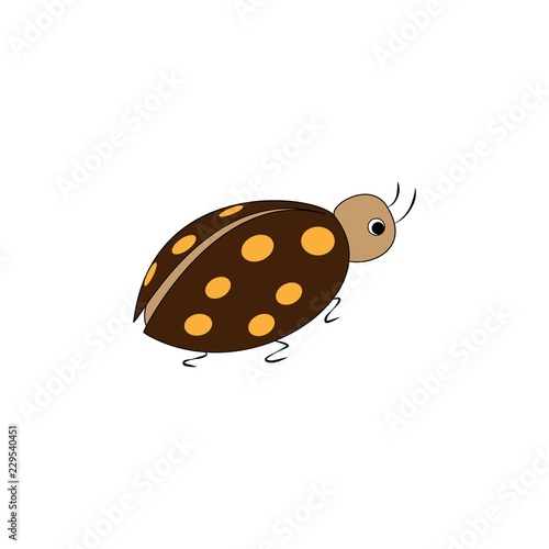 Ladybird. Illustration ladybug on white background. Cute colorful sign insect symbol spring, summer, garden. Template for t shirt, apparel, card. Design element. Vector illustration.