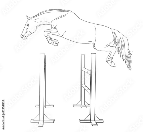loose jumping horse.