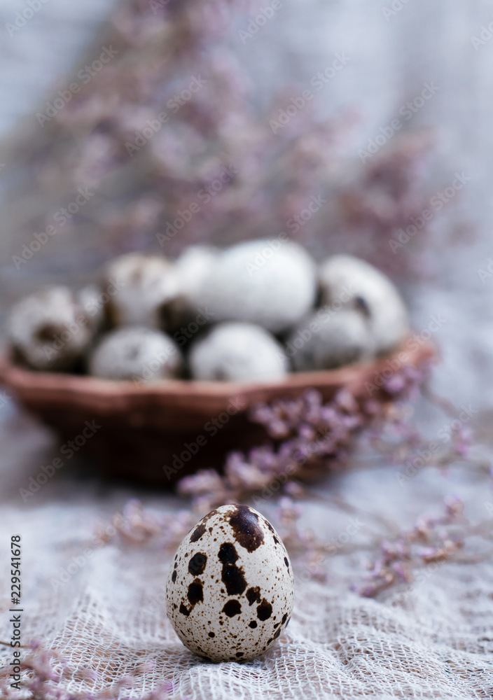 Quail egg.Easter. Quail egg.Easter.