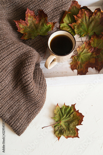 Black tea or coffee, dry maple leaves on white photo