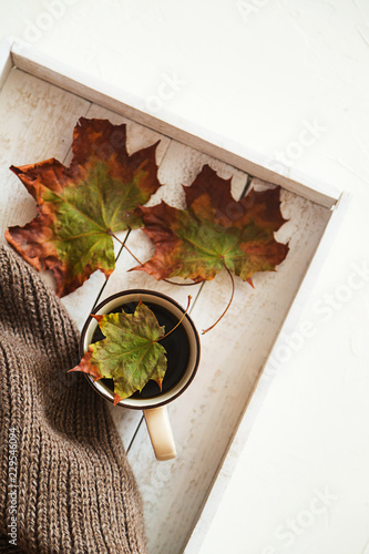 Black tea or coffee, dry maple leaves on white photo