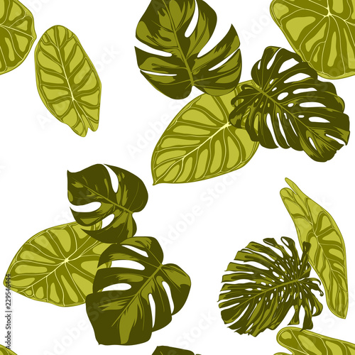 Tropical Leaves. Seamless Pattern with Hand Drawn Leaves of Monstera and Alocasia. Exotic Rapport for Textile, Fabric. Vector Seamless Background with Tropic Plants. Jungle Foliage. Watercolor Effect.