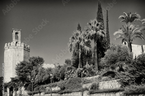 Fototapeta Badajoz monocromo.
