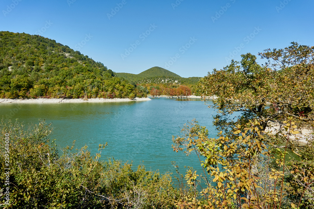 The water surface of the lake, surrounded by mountains. Known old deciduous conifers (Taxódium dístichum) of the cypress family growing in the water of a mountain lake. Sunny day. Sukko Valley