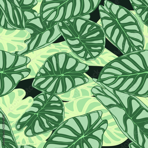 Seamless Tropical Pattern. Trendy Background with Rain Forest Plants. Vector Leaf of Alocasia. Araceae. Handwritten Jungle Foliage in Watercolor Style. Seamless Exotic Pattern for Textile  Fabric.