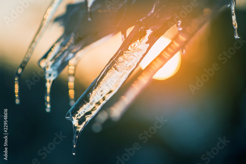 Transparent ice icicles on the background of the sunset.