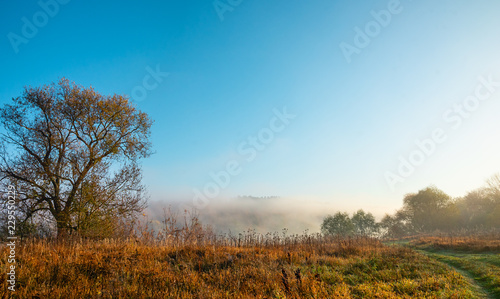 autumn landscape with trees and blue sky and haze