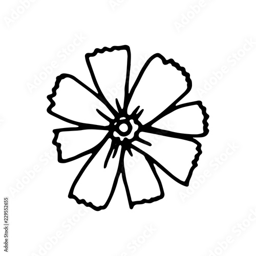 botanical flower garden element icon. hand drawing isolated object