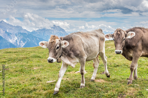 Wallpaper Mural Simmering mountain in Austria Torontodigital.ca