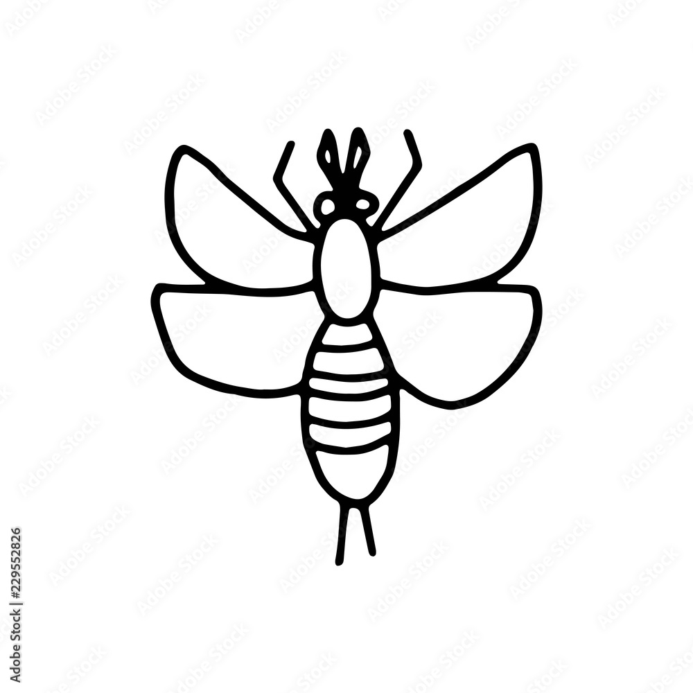 butterfly moth insect icon drawing isolated object on white background butterfly moth insect icon drawing isolated object on white background