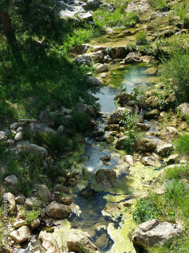 Naklejka premium Aude en été 2