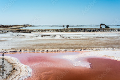 Chott el Djerid in Tunisia photo