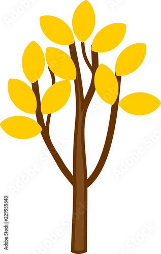 Young deciduous tree with yellow leaves on branches isolated on white background