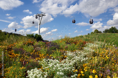 Calbe railway with flowers