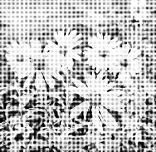 Daisies in the garden. Halftone vector illustration for textile, tablecloth, wallpaper, cards