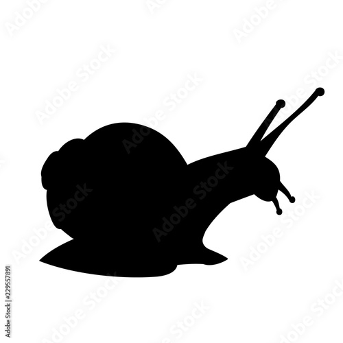 snail icon, black silhouette