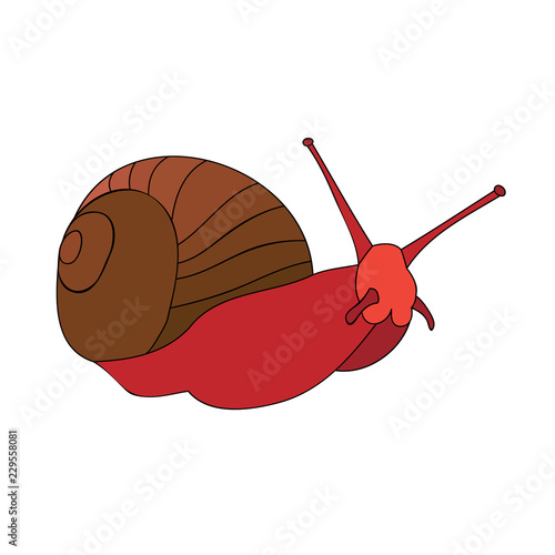 white background, a snail is crawling