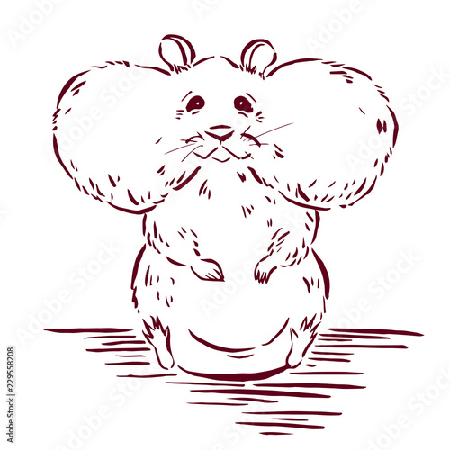 Hamster graphic sketch; vector illustration EPS10