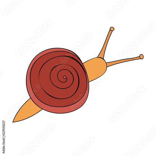 snail is crawling