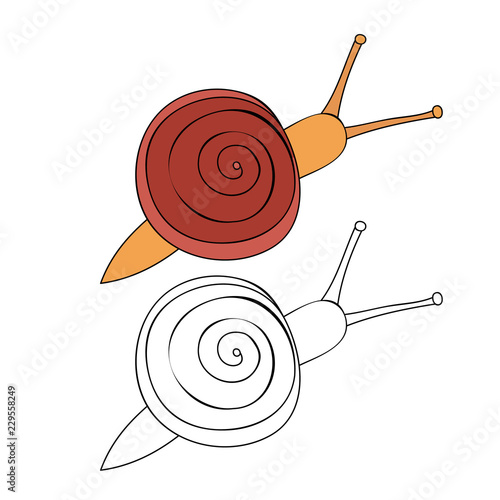 white background, snail coloring book