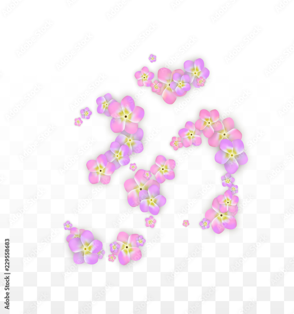 Vector Realistic Pink Flowers Falling on Transparent Background. Spring Romantic Flowers Illustration. Flying Petals. Sakura Spa Design. Blossom Confetti. Design Elements for Wedding Decoration. Vector Realistic Pink Flowers Falling on Transparent Background. Spring Romantic Flowers Illustration. Flying Petals. Sakura Spa Design. Blossom Confetti. Design Elements for Wedding Decoration.
