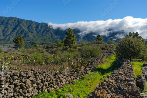 La Palma Kanaren canarias canary islands travel reise holiday spain insel vulkan lava atlantik urlaub erholung relax grün grüne