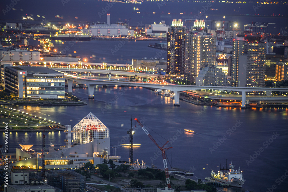 Obraz premium カレッタ汐留からの東京の夜景
