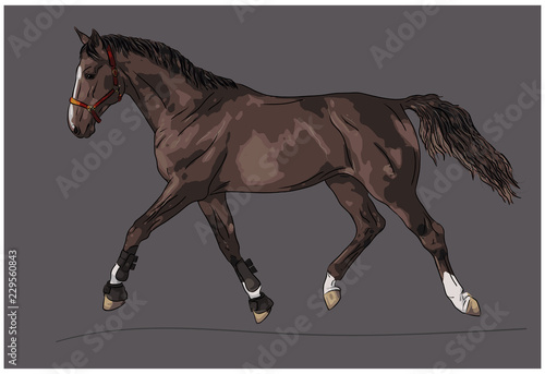 An illustration of a trotting horse.
