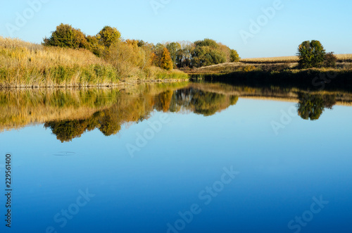 quiet pond with reflection of the shore 3